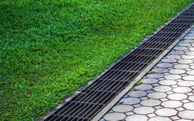 Prevent Flooding at Home with Reliable Storm Water Drainage Services Snohomish WA Residents Trust